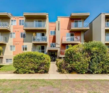A Lovely & Modern 2 Bedroom with Parking in Sunalta - $1900/month! ... - Photo 1