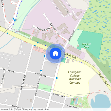 3 Pony Cl, NSW 2287, Minmi