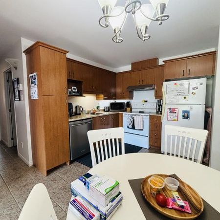 Appartement 4 ½ à louer Lévis octobre 2026 - Photo 4