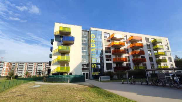 Garten-Ruhe Oase nahe KUK - Foto 1