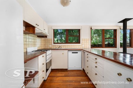 17 Allen Street, Leichhardt NSW 2040 - House For Rent | Domain - Photo 4