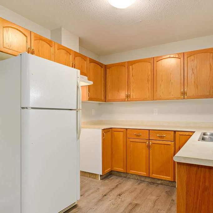 Renovated Suite - 2 Bedroom - Photo 1