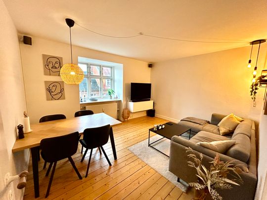 Indbydende 3-værelses lejlighed nær Østre Anlæg - Photo 1