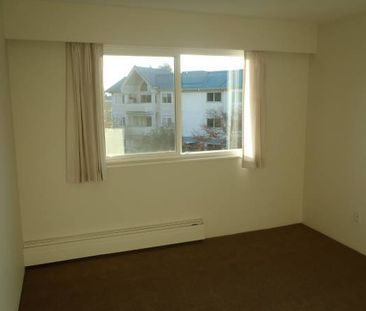 1 Bedroom Suite (Apartment Complex) - Photo 2