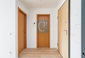 Apartamento T1 KITCHENET