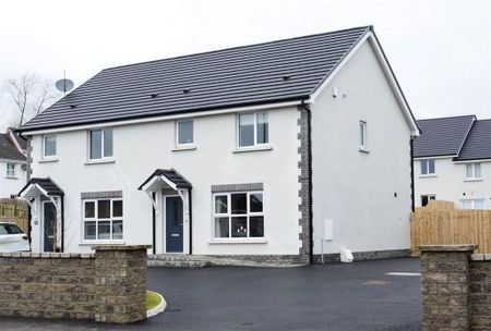 22 Todds Hill, Saintfield, BT24 7FX - Photo 2