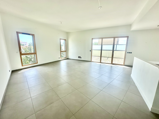 LOCATION - 141M2 - 3 CHAMBRES - TERRASSE DE 65M2 - APPARTEME , Lyon - Photo 1