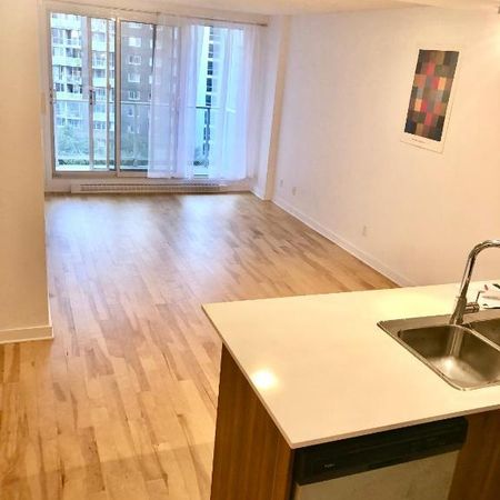 Loft condo tres bien situe a Ahuntsic - Photo 4