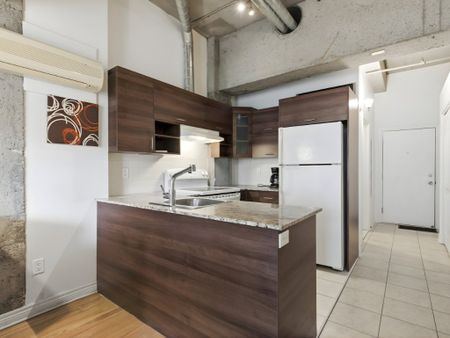 1200 Rue St Alexandre, Montréal (Ville-Marie), QC H3B - Photo 3