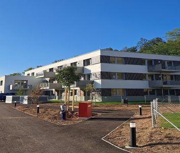 WirtschaftseinheitNEULENGBACH IX/1 - Photo 3