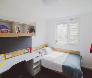 Premium Single Shared Facilities - Photo 2