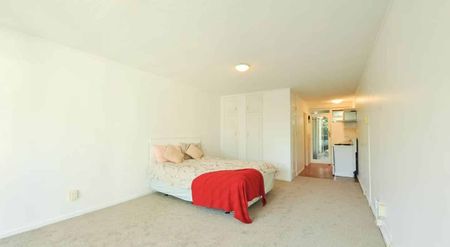 Sunny One Bedroom Studio In Mt Eden - Photo 3