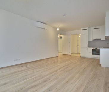 Gartenwohnung in Wels, Neubau 2022: 2 Zimmer, 59 m², Terrasse, Tiefgaragenplatz, provisionsfrei für Mieter - Photo 1