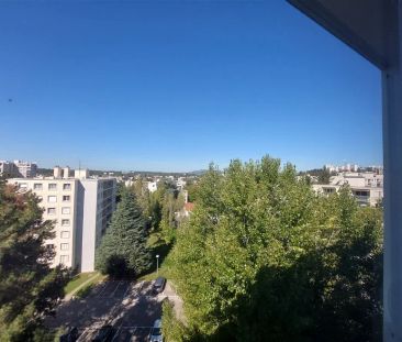 Location appartement 1 pièce - 33m² à Lyon 5e arrondissement (69005) - Photo 3