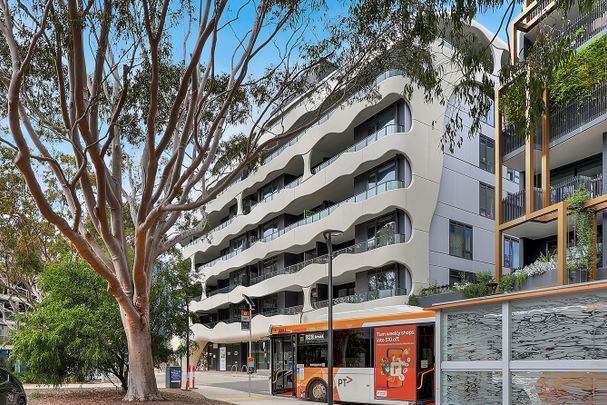 Level 406D/18 Koolkuna Lane, Hampton VIC 3188 - Apartment For Rent | Domain - Photo 1