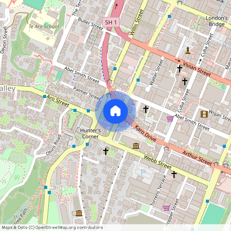 246 Victoria Street, Te Aro