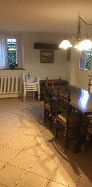 Appartamento arredato di 2 locali in affitto a Massagno - Foto 1