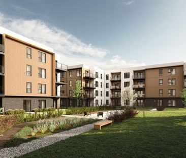 4½ Neuf – Janvier 2026 – L'Archipel - Photo 1