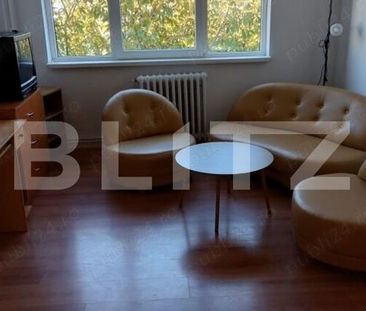 Apartament 1 camera, 40 mp, Gruia - Fotografie 1