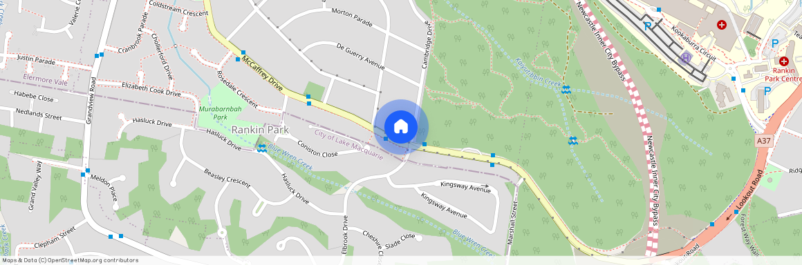 294 McCaffrey Drive, NSW 2287, Rankin Park