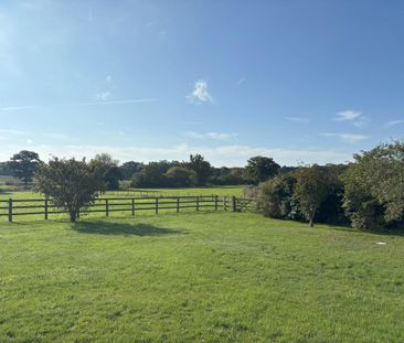 3 bedroom detached house to rent - Photo 4