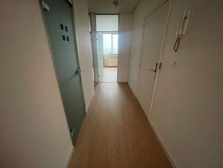 Steynstraat 373, 2660, Hoboken - Photo 4