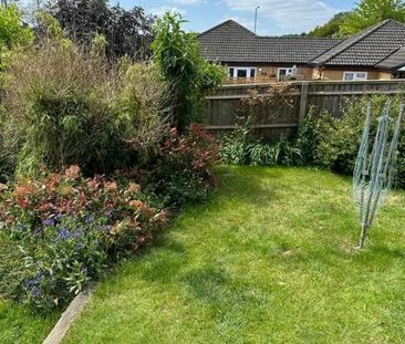 4 bedroom semi-detached house to rent - Photo 6