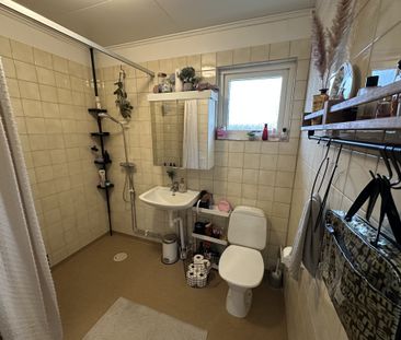 Nygatan, Trädet - Foto 5