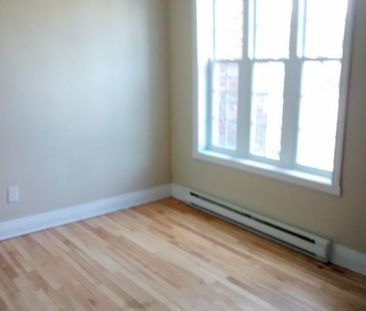 3970 Rue Rachel E., H1X 1Z5, H1X 1Z5, Montréal - Photo 5