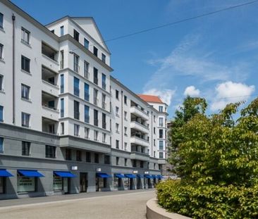 Tailles folles, tailles Wohnsinnig - Foto 1