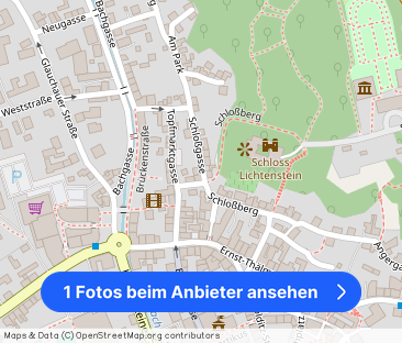 Exklusives Wohnen mit Blick aufs Schloss - Foto 1
