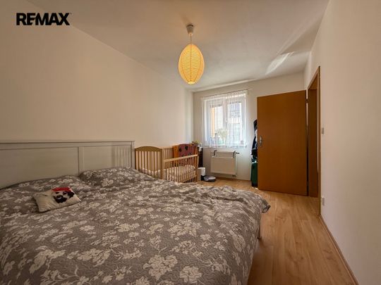 Pronájem bytu 2+kk v osobním vlastnictví 47 m², Plzeň - Photo 1