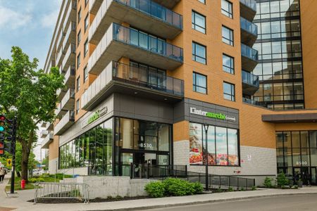 8510 Rue Jean-Nicolet, #E-502 - Photo 4