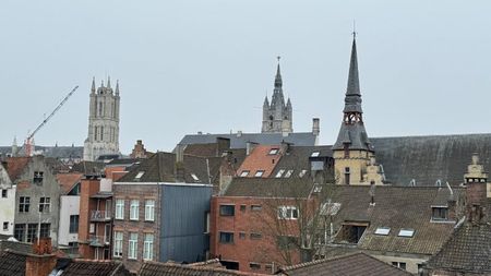 Unieke loft (1 slaapkamer) Vrijdagmarkt - Foto 3