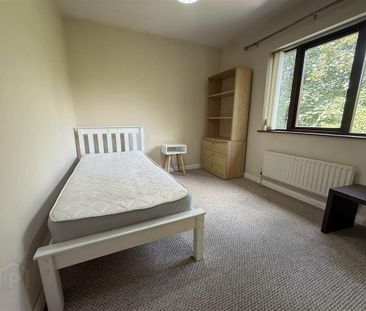 6 Lyme Grove, Dunmurry, Belfast, BT17 9RG - Photo 4