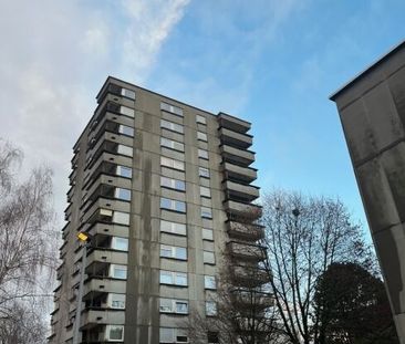 Living in Pratteln - Photo 1