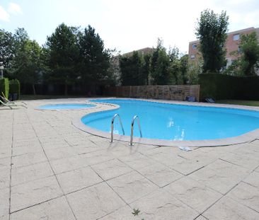 Apartment - Photo 5