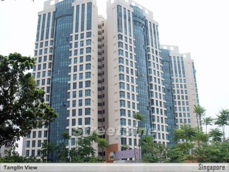 Tanglin View (D3), Condominium - For Rent - Photo 4
