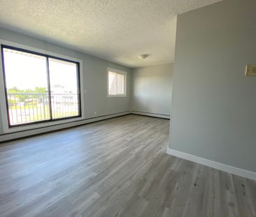 Riviera Garden - Photo 2