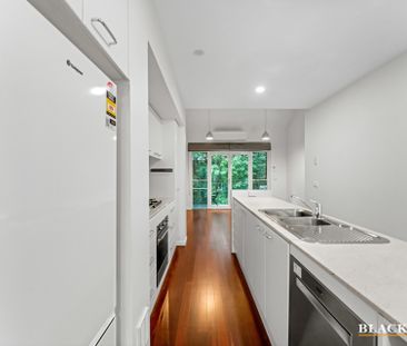 8 Bluebell Street, O'Connor ACT 2602 - House For Rent | Domain - Photo 6