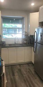 Beautiful 1 Bedroom Annex Unit for Rent w/ Private Deck/Yard - Photo 4