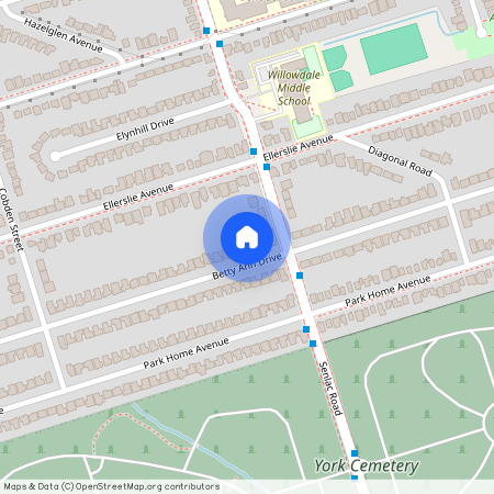 208 Betty Ann Drive Unit# Lower B, Toronto