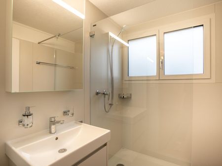 Erstbezug nach Gesamtrenovation: 4.5-Zi. Wohnung an zentraler Lage - Photo 2