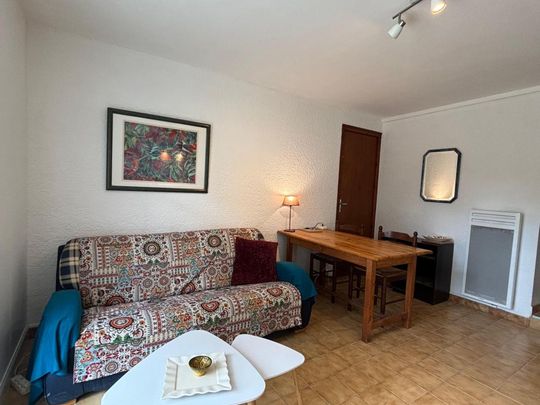 Location Appartement 2 pièces Meublé 37m² AIRE SUR L ADOUR 40800 - Photo 1