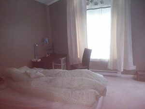 $1750 / 2br – 1013ft2 – Spacious 2 Bed + 2 Bath Top Floor Unit in Lakeside Terrace (Coquitlam) - Photo 4