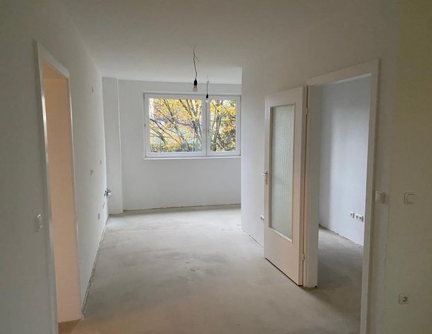 3-Zimmer-Wohnung in Braunschweig-Weststadt zu sofort zu vermieten - Foto 1