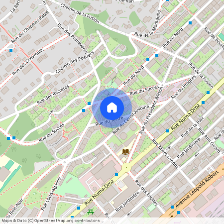 2300, La Chaux-de-Fonds, Rue du Tertre, 4