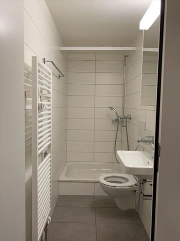 Apartment in the beautiful town of Münchenstein - Photo 4