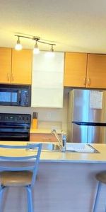 Spacious Furnished 1 Bedroom Condo for Rent in Yaletown #864 - Photo 3