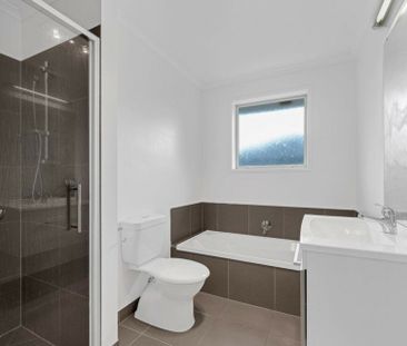 WINNER ON WAITAUA - Photo 1